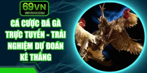 Cá Cược Đá Gà Trực Tuyến - Trải Nghiệm Dự Đoán Kê Thắng