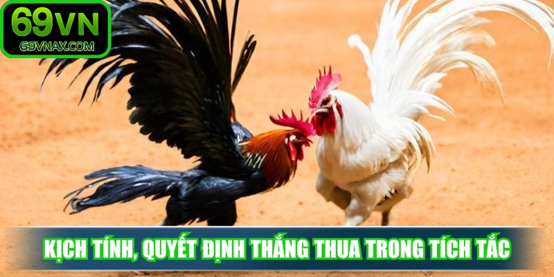 Đấu trường kịch tính, quyết định thắng thua trong tích tắc 