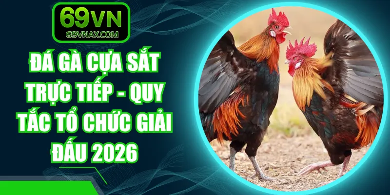 Đá Gà Cựa Sắt Trực Tiếp - Quy Tắc Tổ Chức Giải Đấu 2026
