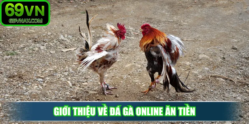 Giới thiệu về đá gà online ăn tiền