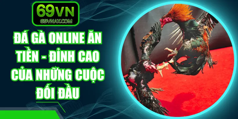 Đá Gà Online Ăn Tiền - Đỉnh Cao Của Những Cuộc Đối Đầu