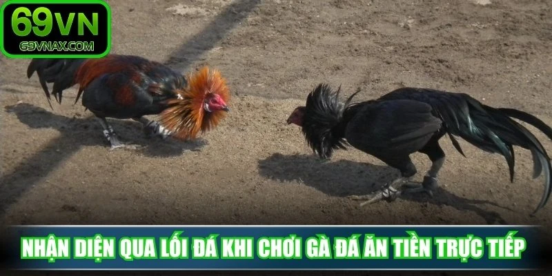 Nhận diện qua lối đá khi chơi gà đá ăn tiền trực tiếp 