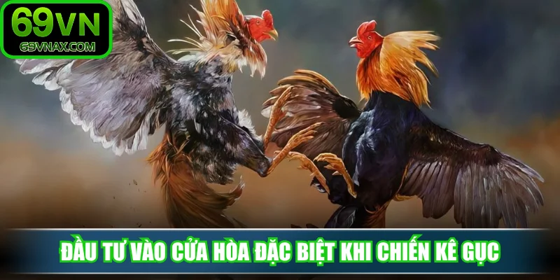 Đầu tư vào cửa hòa đặc biệt khi chiến kê gục