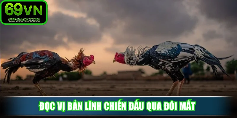 Đọc vị bản lĩnh chiến đấu qua đôi mắt 